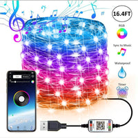 Smart Phone APP Copper Wire Light String