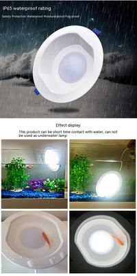 Embedded LED Waterproof Lamp